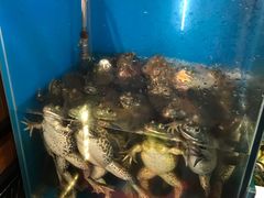绝望的牛蛙们-曼听小寨海鲜烧烤(锦绣mini店)