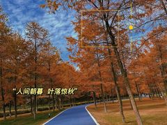 -宜兴龙背山森林公园