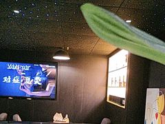 -梵猫·新养生(鹭江大同店)