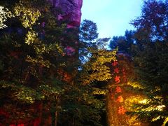-汤旺河林海奇石景区