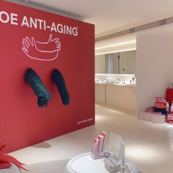 -紫御国际抗衰ZOE ANTI AGING