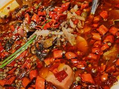 新派毛血旺-外婆家(义乌新光汇购物中心店)