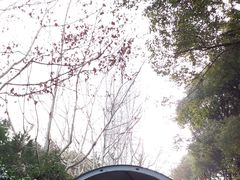 -人民公园-相亲角