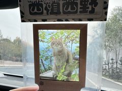 -青藏高原野生动物园