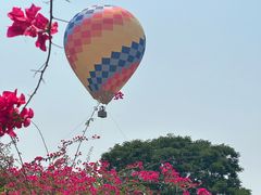-中国科学院西双版纳热带植物园