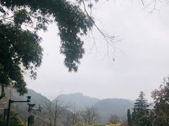 -黔灵山公园