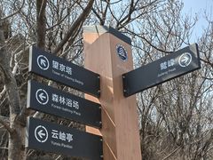 -鹫峰国家森林公园