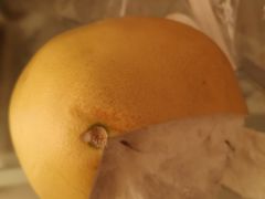 -韩家墅海吉星农产品批发市场