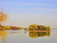 -长广溪湿地公园