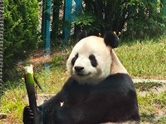 -大连森林动物园