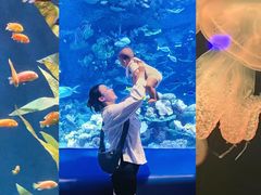 -欢乐海岸海洋奇梦馆