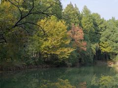 -东湖落雁景区