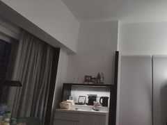 -新加坡乌节希尔顿酒店