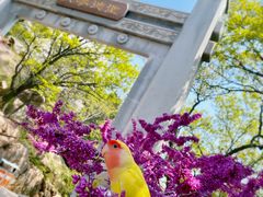 -石岛赤山风景区
