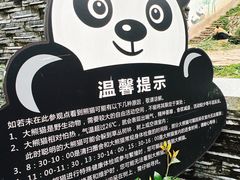 -中国大熊猫保护研究中心雅安碧峰峡基地