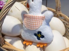-添福来墨鱼饺子 · 海鲜东北菜(泡崖店)