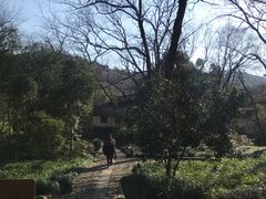 -法云安缦酒店