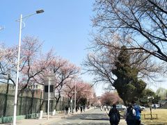-吉林大学(南岭校区)