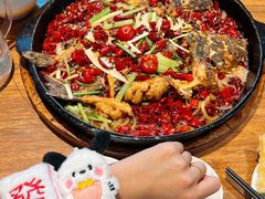 -老板恋上鱼(恒隆广场店)