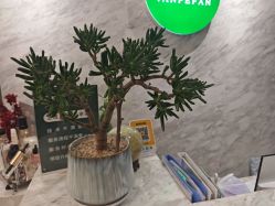 -王妃SPA·美容·科技抗衰