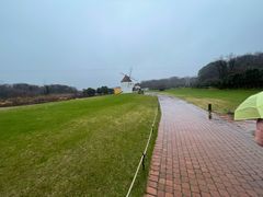 -济州森林小火车生态公园