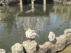 -天毓山庄·餐厅