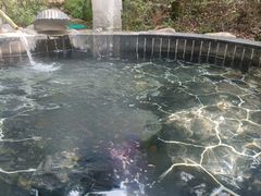 -明月山天沐温泉度假村