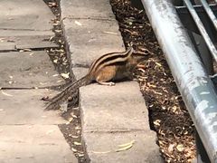 -长春公园(普阳街道)