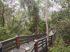 -水濂山森林公园