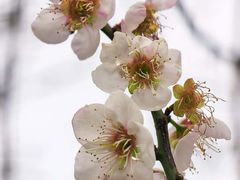 -广州市流溪河国家森林公园