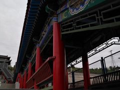-金城公园