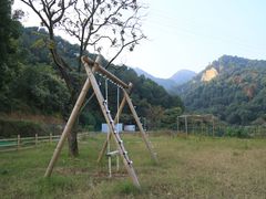 -趣多多宠物公园·宠物训犬学校·宠物寄养