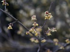 -白塘生态植物园