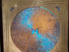 -上海昆虫博物馆