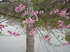 景观位-木守西溪溪隐餐厅