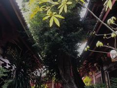 -叩齿古寺