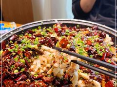 -三猫黑鱼花(南大店)