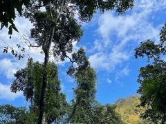 -沐毫傣泐云南菜孔雀宴•手抓饭傣味烧烤(曼听公园店)