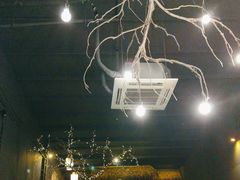 -土蚝·高压锅生蚝(百姓美食街店)