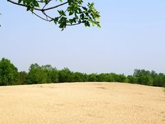 -东郊湿地公园