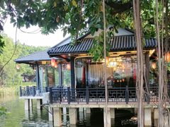 -侨美·唐荔园·40年地道粤菜