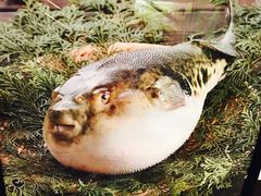 -玄品河豚(那覇國際通里之関)