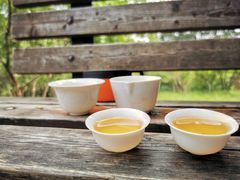 -北京西山国家森林公园