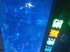 -蓬莱欧乐堡海洋极地世界