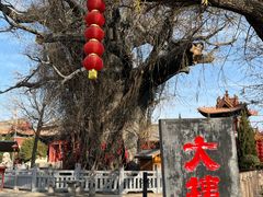 -大槐树寻根祭祖园