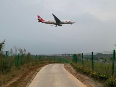 -空港花田景区