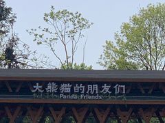 -中国大熊猫保护研究中心雅安碧峰峡基地