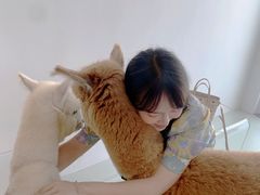 -Blue Concept Cafe&Farm·關於藍