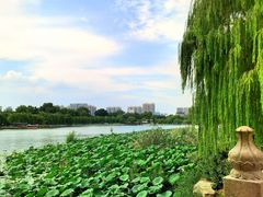 -济南大明湖景区