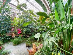 -沈阳植物园